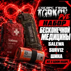 Escape from Tarkov PVE Бесконечный набор медицины, лот №268234