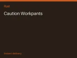 Caution Workpants #567015701 — Rust, лот №278748