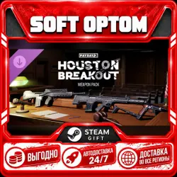 DLC PAYDAY 3: Houston Breakout Weapon Pack · Steam ANY REGION · AUTO 24/7