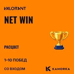 Valorant Ascendant NET WIN — 1 to 10 ranked wins (account login)