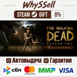 The Walking Dead: Season Two STEAM Russia and all regions – gift, automatic delivery