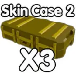 SKIN CASE 2 X3