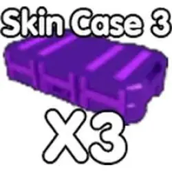 SKIN CASE 3 3X