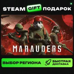 Marauders | ВЫБОР РЕГИОНА |STEAM GIFT