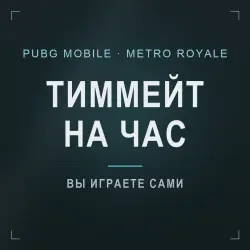 PUBG Mobile Metro Royale: тиммейт на час · 1–5 ч, лот №277163