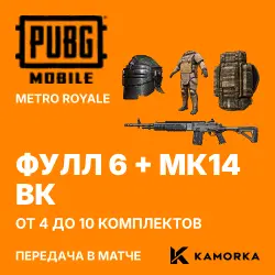 PUBG Mobile Metro Royale: “full 6” set (level 6 helmet, vest, backpack) + top-grade MK14 · 4–10 pcs
