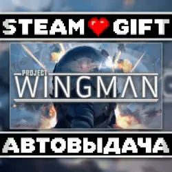 Project Wingman • Steam • Россия и другие регионы