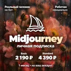 Midjourney Standard / Basic