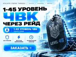 PVE | 1 - 45 уровень ЧВК, ЧЕРЕЗ РЕЙД — Escape from Tarkov, лот №278075
