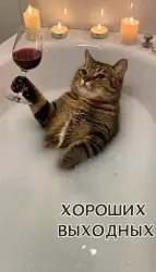 Дум