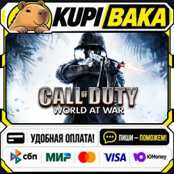 Call of Duty: World at War / Steam АВТО / РУ + МИР