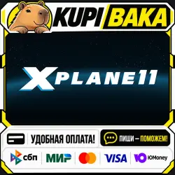 X-Plane 11 / Steam АВТО / РУ + МИР