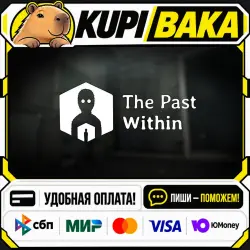 The Past Within / Steam АВТО / РУ + МИР