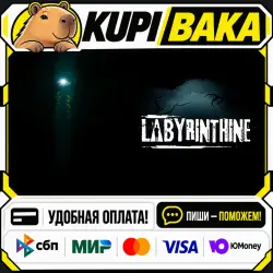 Labyrinthine / Steam АВТО / РУ + МИР