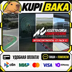 DLC Assetto Corsa Competizione - Intercontinental GT Pack / Steam АВТО / РУ + МИР