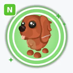 Irish Setter | Adopt Me! — Roblox, лот №291331