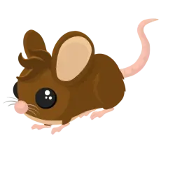 Field Mouse | Adopt Me! — Roblox, лот №297186