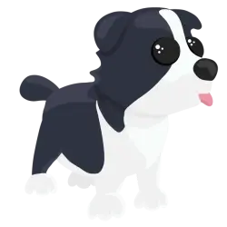 Border Collie | Adopt Me! — Roblox, лот №299944