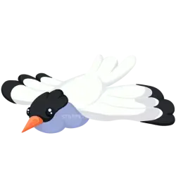 Arctic Tern | Adopt Me! — Roblox, лот №309962