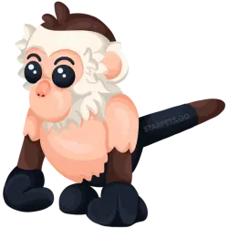 Capuchin Monkey | Adopt Me! — Roblox, лот №314412