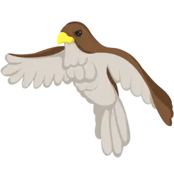 Hawk | Adopt Me! — Roblox, лот №314430