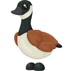 Canada Goose | Adopt Me! — Roblox, лот №315770