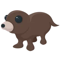 Otter | Adopt Me! — Roblox, лот №317579