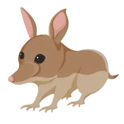 Bandicoot | Adopt Me! — Roblox, лот №319740