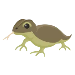 Komodo Dragon | Adopt Me! — Roblox, лот №322416