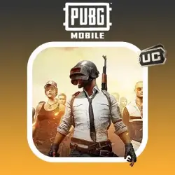 PUBG Mobile по Player ID Пропуски, лот №324135