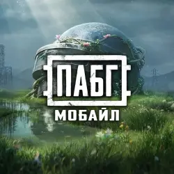 ПАБГ МОБАЙЛ - PUBG Mobile - 325 UC, лот №324189
