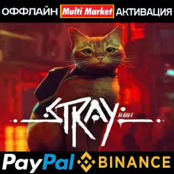 Stray STEAM