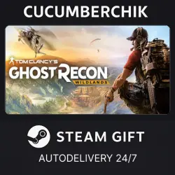 Tom Clancy's Ghost Recon Wildlands STEAM GIFT AUTO RU+World