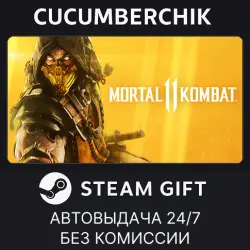 Mortal Kombat 11 STEAM GIFT AUTO RU+МИР