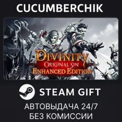 Divinity: Original Sin Enhanced Edition STEAM GIFT AUTO RU+МИР