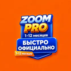 Zoom One Pro 1–12 months
