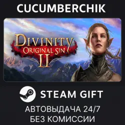Divinity: Original Sin 2 - Eternal Edition STEAM GIFT AUTO RU+МИР