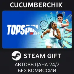 TopSpin 2K25 STEAM GIFT AUTO RU+МИР