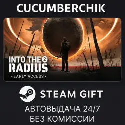 Into the Radius 2 STEAM GIFT AUTO RU+МИР