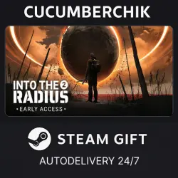 Into the Radius 2 STEAM GIFT AUTO RU+World