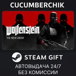 Wolfenstein: The New Order STEAM GIFT AUTO RU+МИР