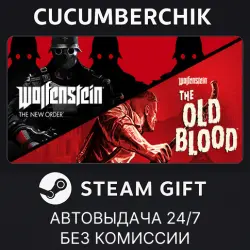 Wolfenstein: The Two Pack STEAM GIFT AUTO RU+МИР