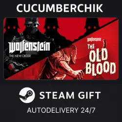 Wolfenstein: The Two Pack STEAM GIFT AUTO RU+World