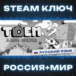 TOEM КЛЮЧ