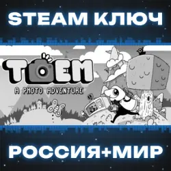 TOEM КЛЮЧ