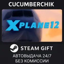 X-Plane 12 STEAM GIFT AUTO RU+МИР