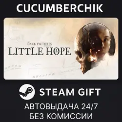 The Dark Pictures Anthology: Little Hope STEAM GIFT AUTO RU+МИР
