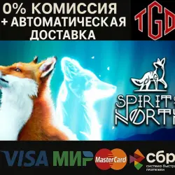 Spirit of the North | Steam Russia