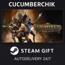 Gauntlet Slayer Edition STEAM GIFT AUTO RU+World