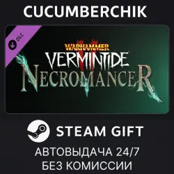 Warhammer: Vermintide 2 - Necromancer Career STEAM GIFT AUTO RU+МИР